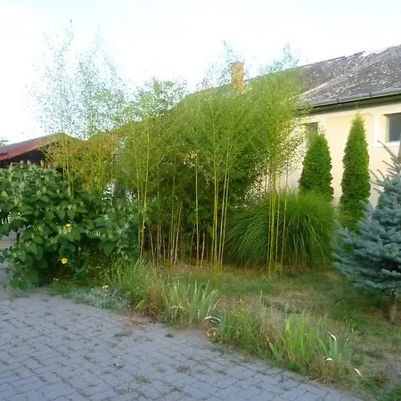 Gasthuis Turul Vendeghaz Verpelét